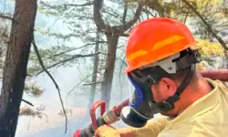 Saimbeyli'de Orman Yangını Büyümeden Söndürüldü