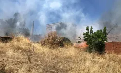 Bodrum'da Otluk Alanda Çıkan Yangın, Ormana Sıçradı