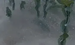 Sapanca Gölü'nün Dibindeki Pamuksu Oluşum İnceleniyor