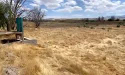 Pınarbaşı Göleti Kurudu