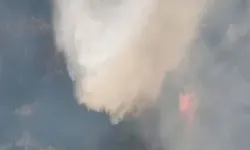 Manisa'daki Orman Yangını 14 Saat Sonra Kontrol Altında