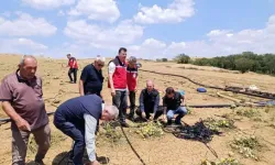 Tekirdağ'da Doludan Zarar Gören Tarlalarda İnceleme Sürüyor