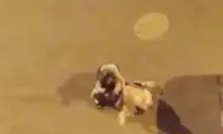 Iğdır’da Kadınlar Saç Saça Kavga Etti