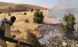 Mardin'de Çıkan Örtü Yangını Söndürüldü