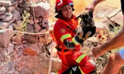 Milas’ta Kuyuda Mahsur Kalan Yavru Köpeği İtfaiye Kurtardı