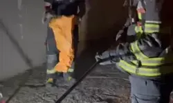 Eve Girmeye Çalışan Zehirli Engerek, Yakalanıp Doğaya Bırakıldı