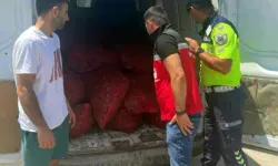 Malkara'da 700 Kilo Kaçak Midye Ele Geçirildi