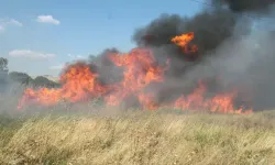 Temizlenmeyen Otlar Yangın Riskini Artırıyor