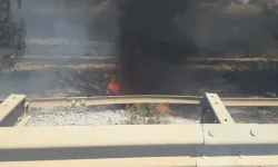 Yol Kenarındaki Ağaçlık Alanda Çıkan Yangın Kontrol Altına Alındı