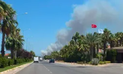 Antalya'da Orman Yangın Çıktı