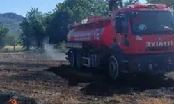 Yangında 20 Dönüm Zarar Gördü