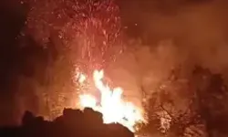 Yangında Zeytinlik Zarar Gördü