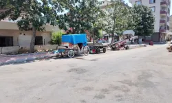 Mersin’de Bitkin Düşen At Kurtarıldı