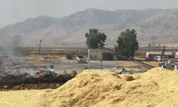 Şırnak'ta Anız Yangını Samanlıklara Sıçramadan Söndürüldü