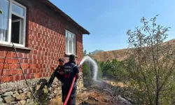 Bingöl’de Örtü Yangını Söndürüldü