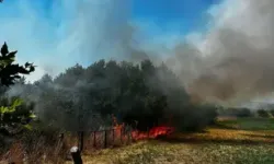 Çanakkale'de Ot Yangını 1 Saatte Kontrol Altına Alındı