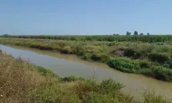 Balık Tutarken Düştüğü Nehirde Kayboldu