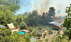 Kumluca'da Orman Yangını