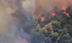 Balıkesir'de Orman Yangını Çıktı