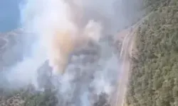 Mersin'de Orman Yangını Çıktı