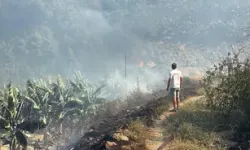Muz Ve Avokado Bahçeleri Yangında Zarar Gördü