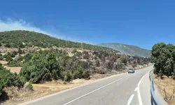 Eğirdir Gölü Kenarında 2 Noktada Yangın