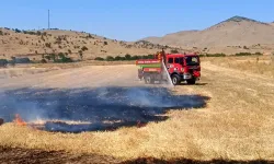 Yangında 200 Dekar Kül Oldu