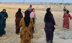 İki Aile Arasında Pamuk Tarlasında Taşlı Sopalı Kavga; 8 Yaralı