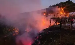 Antalya'da 3 Günde 8 İlçede 34 Yangın Çıktı