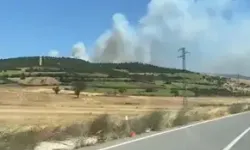 Balıkesir Susurluk’ta Orman Yangını
