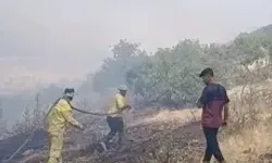 Siirt’te Örtü Yangını; 60 Dönüm Zarar Gördü