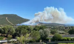 Foça'da Orman Yangını Çıktı