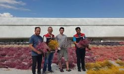 Erbaa İlçe Tarım Müdürlüğü’nden Erbaa’daki Çiçek Üreticilerine Ziyaret