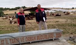 Tokat’ta Mera Altyapısına TULİP Desteği: Sahada Detaylı İnceleme Yapıldı