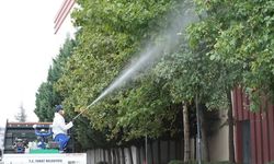 Tokat’ta Sivrisinek Ve Haşerelere Karşı İlaçlama Seferberliği