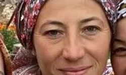 Hayvanları Otlatmaya Götüren 3 Çocuk Annesi Kayboldu