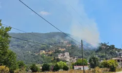 Marmara Adası’nda Orman Yangını