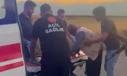 Gaziantep’te Hayvan Otlatma Kavgası; 2 Yaralı