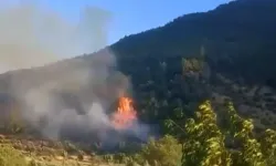 Gaziantep'te Orman Yangını