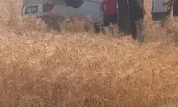 Tarlaya Yuvarlanan Otomobilin Sürücüsü Yaralandı
