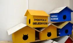 Geri Dönüşüm Malzemeleriyle Kediler İçin Yuva Yapıldı