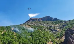 Munzur Vadisi Milli Parkı'ndaki Yangın Kontrol Altına Alındı