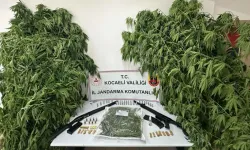 Kocaeli'de Uyuşturucu Operasyonu; 2 Tutuklama