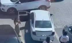 Sandalyeye Oturup Kafenin Önüne Otomobilini Park Etmek İsteyen Sürücüye Engel Oldu