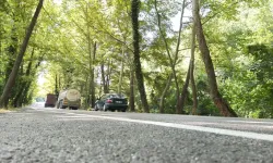 'Ağaç Tünel Yol'da Seyrine Doyumsuz Manzara