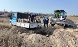 Mersin’de 200 Kilo Bozuk Midye Dolması Ele Geçirildi