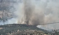 Adıyaman'da Orman Yangını