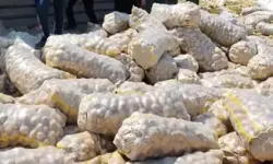 Patates Yüklü Kamyon Devrildi