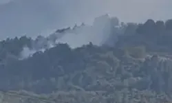 Bursa İnegöl'de Orman Yangınına Havadan Ve Karadan Müdahale