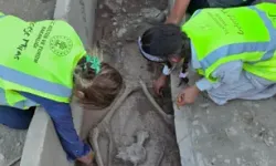 Aspendos'ta 2 Bin 400 Yıllık Güreşçi Mezarı Keşfedildi